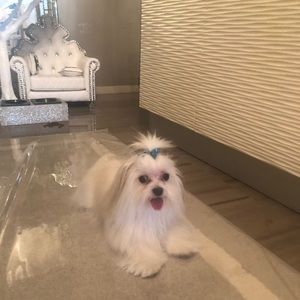 Meet your Posher, Jazmin